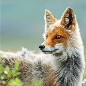 Meet your Posher, Stefanie